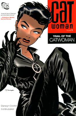 Catwoman Vol. 3 (2002-2008)